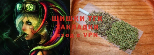 дживик Абаза